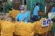 Trung Quốc chiếm gần 60% thị phần xuất khẩu cao su của Việt Nam